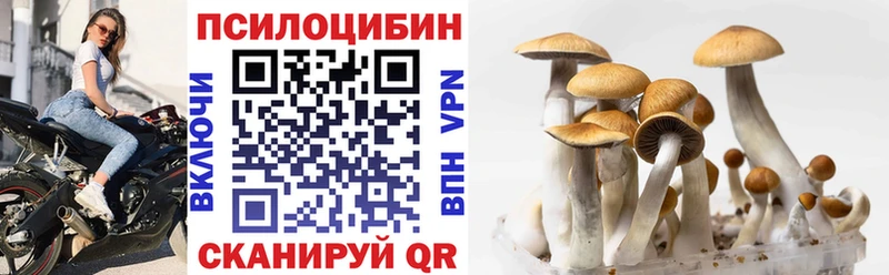 Псилоцибиновые грибы MAGIC MUSHROOMS  Тырныауз 