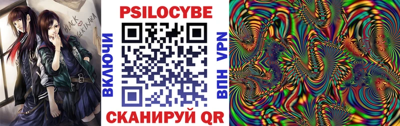 Галлюциногенные грибы Psilocybe Тырныауз